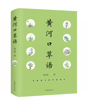 黄河口草语